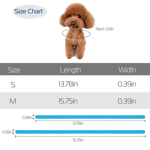 Puppy ID Collars - 12pc