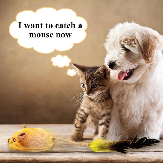 Interactive Cat Toy Mouse With LED Lights