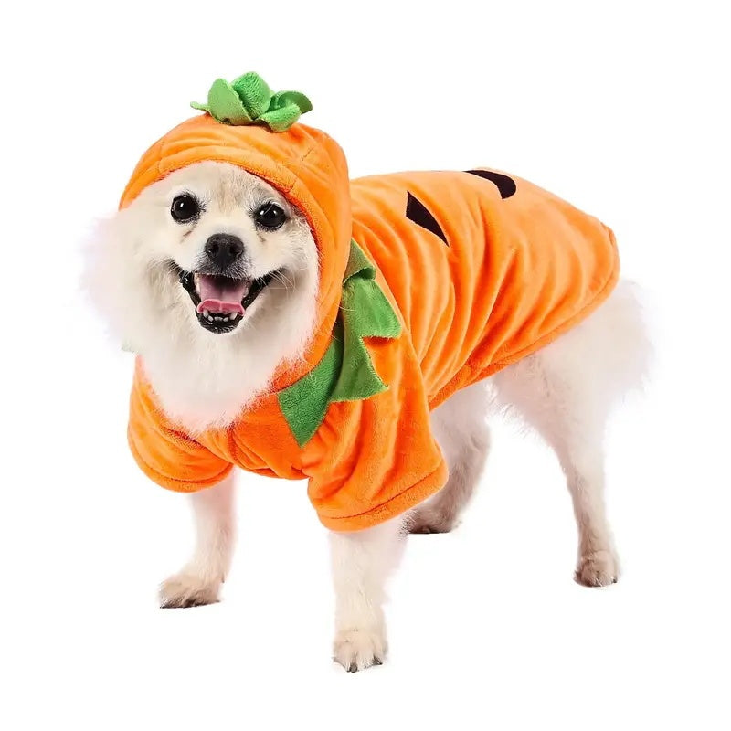 Cute Pumpkin Dog Hoodie