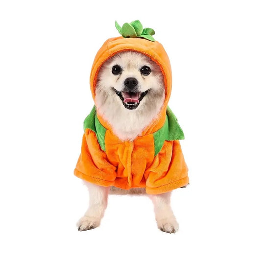 Cute Pumpkin Dog Hoodie