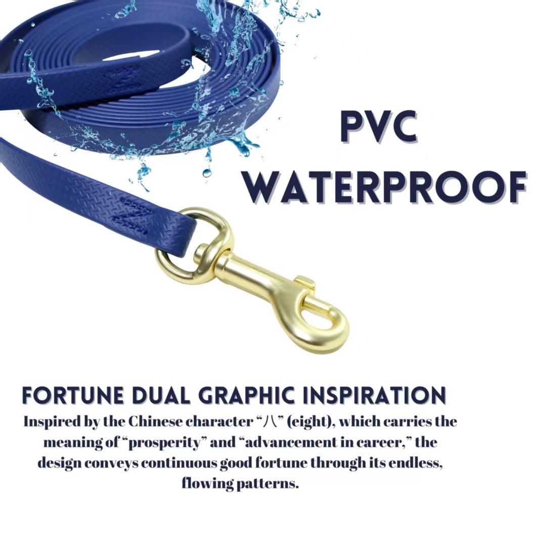 Training Long Rope -  For Recall, Memory & Tracking Training