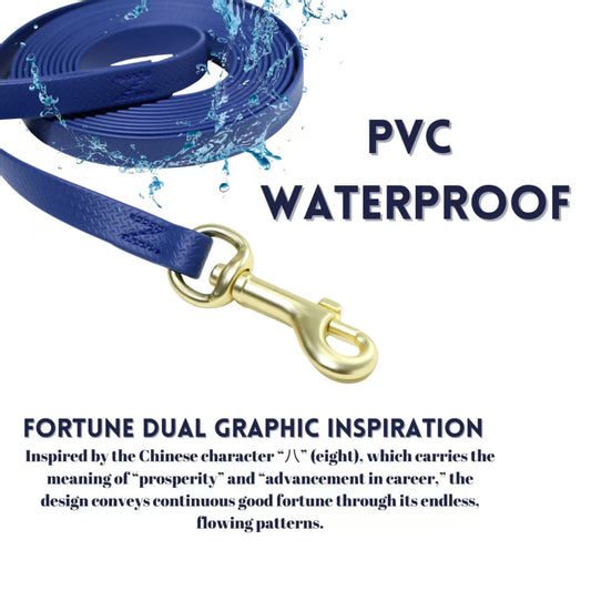 Training Long Rope -  For Recall, Memory & Tracking Training