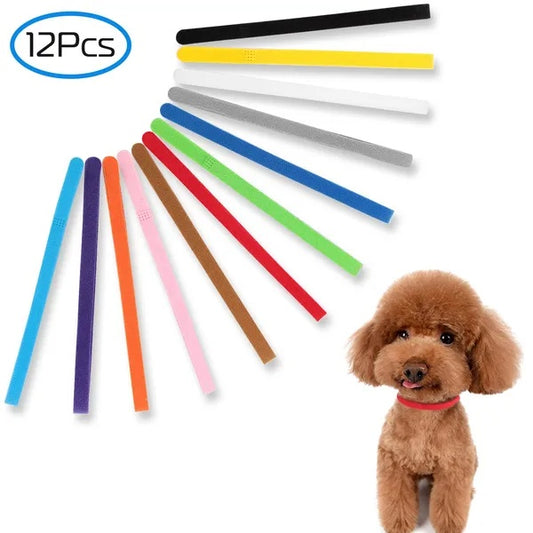 Puppy ID Collars - 12pc
