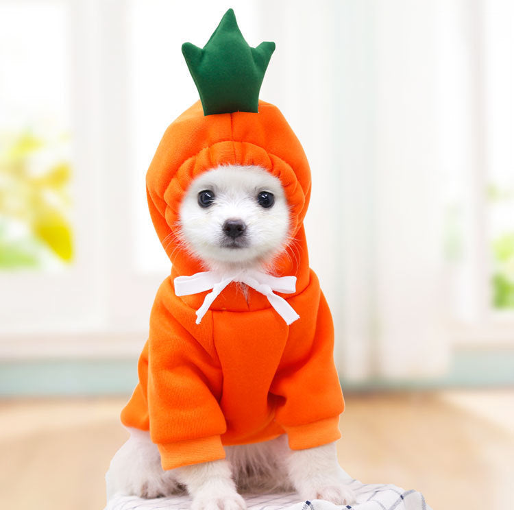 Warm Fleece Chihuahua Outfit