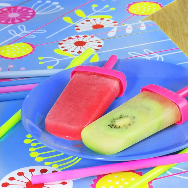 Reusable Plastic Popsicle Mold - 6Pcs