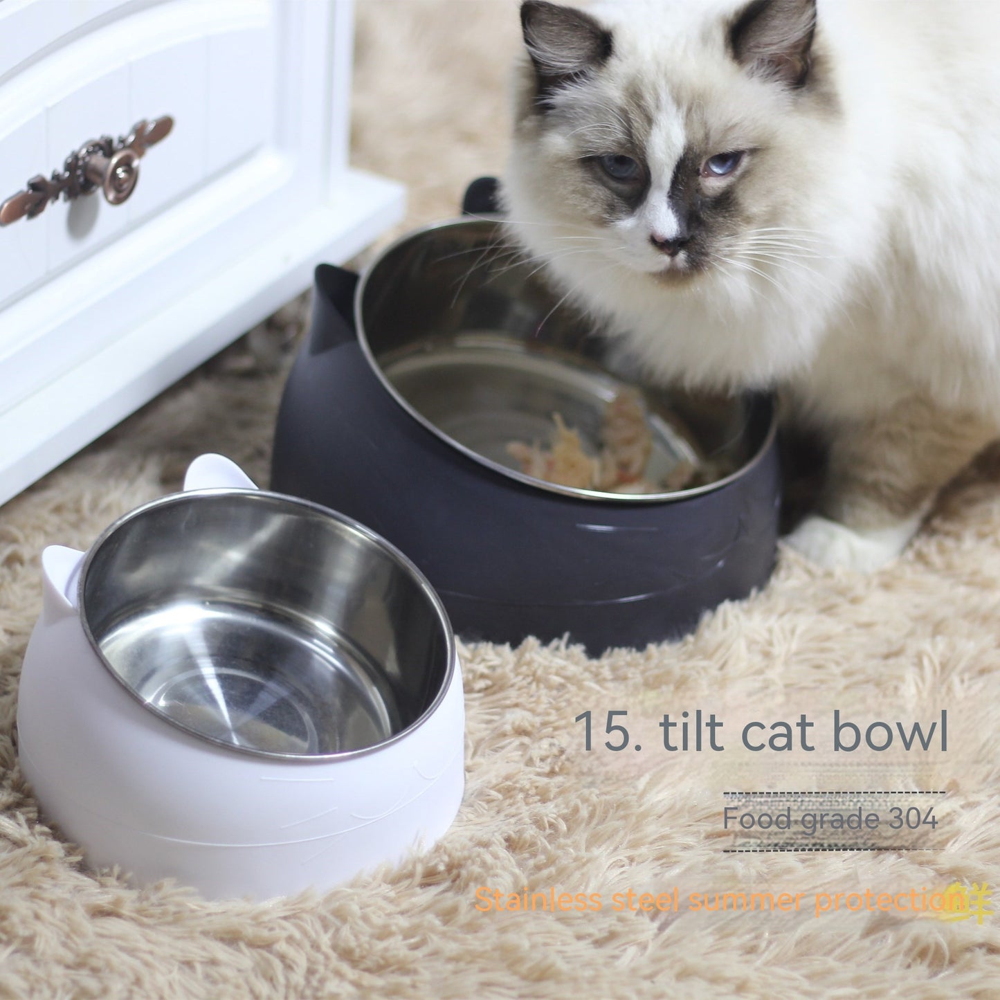 Stainless Steel Cat Feeding Bowl