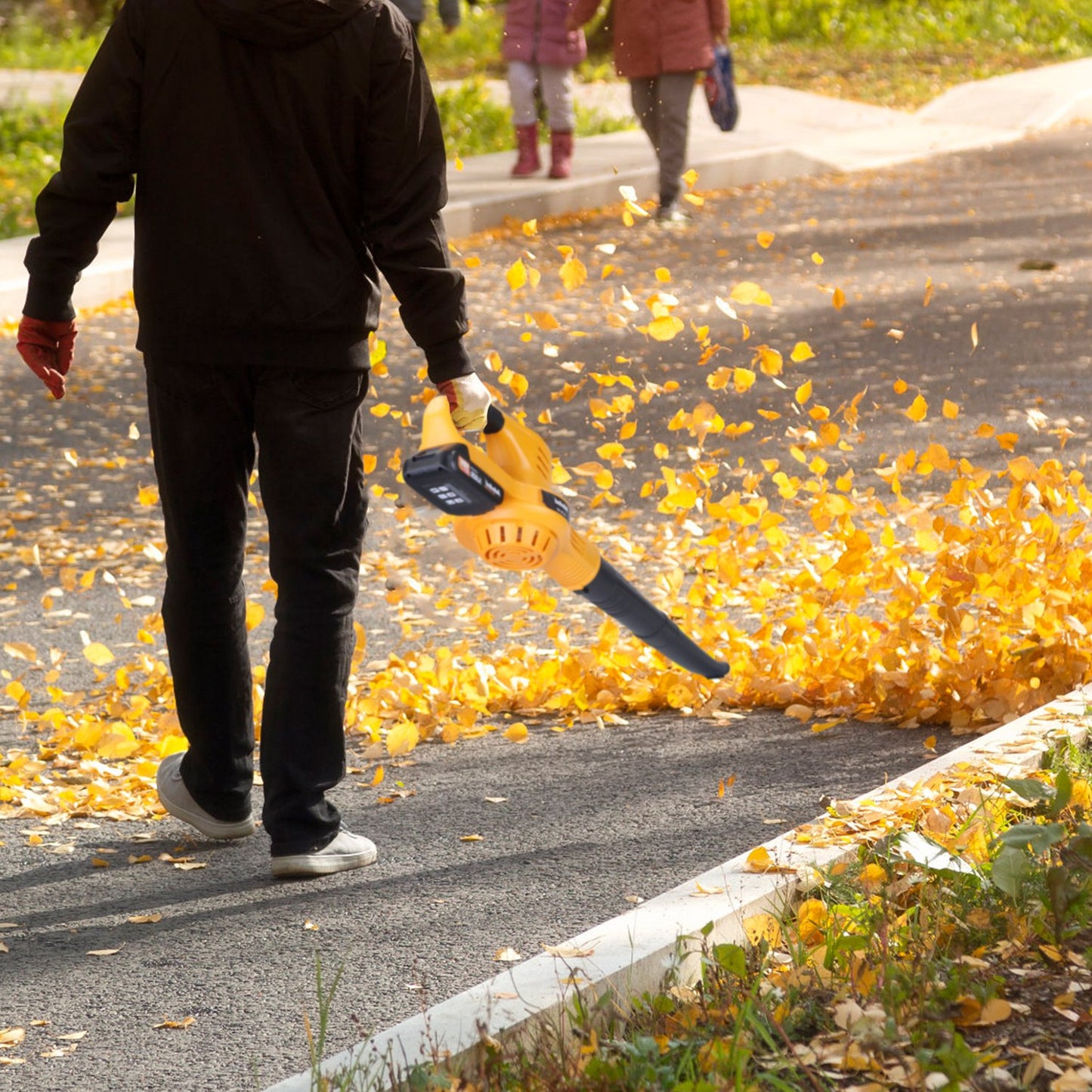 Cordless Leaf Blower