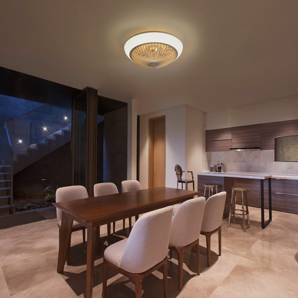 LED Enclosed Ceiling Fan