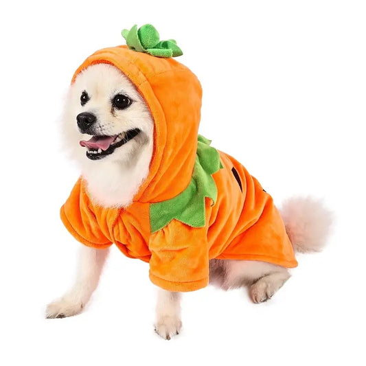 Cute Pumpkin Dog Hoodie