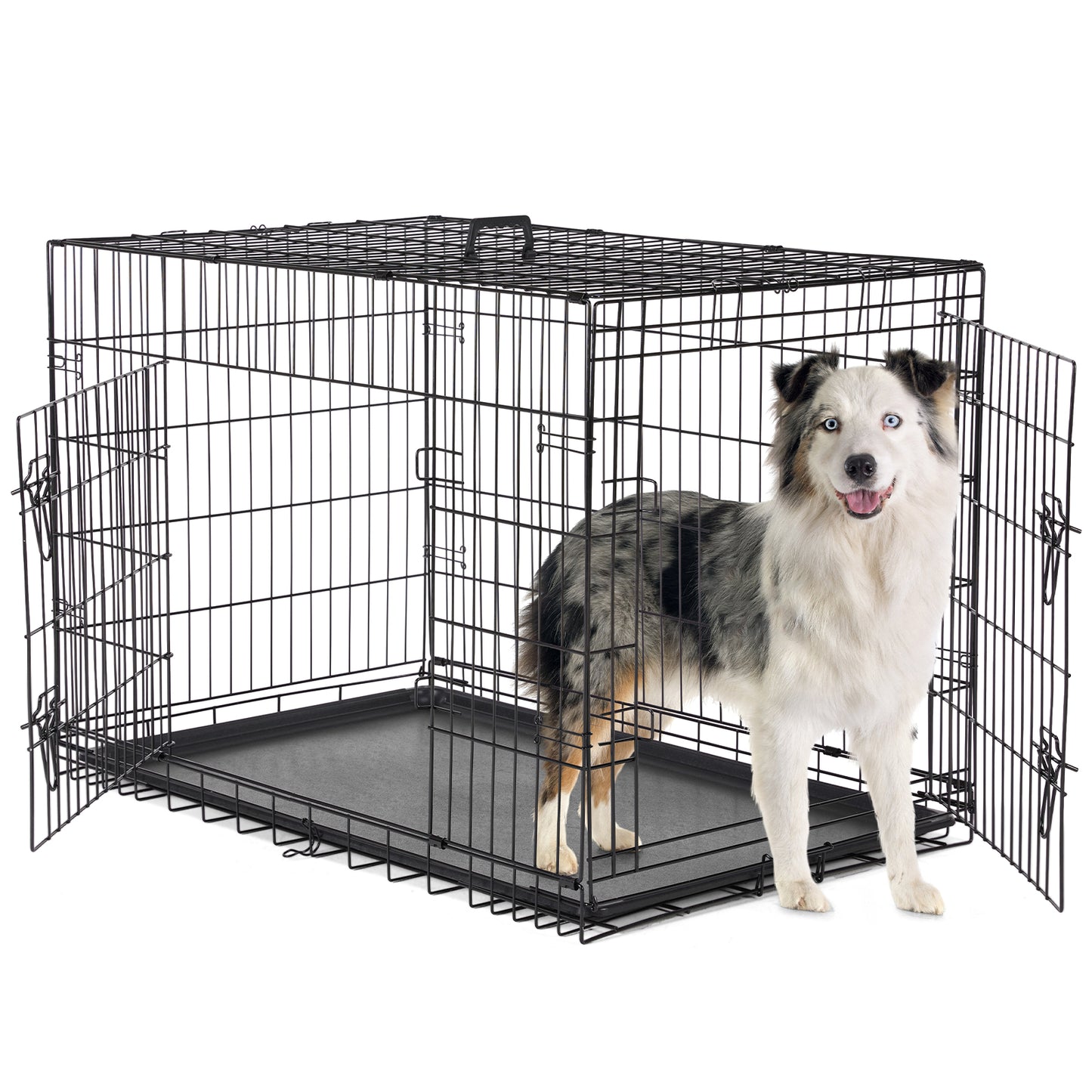 Dog Cage With Two Doors