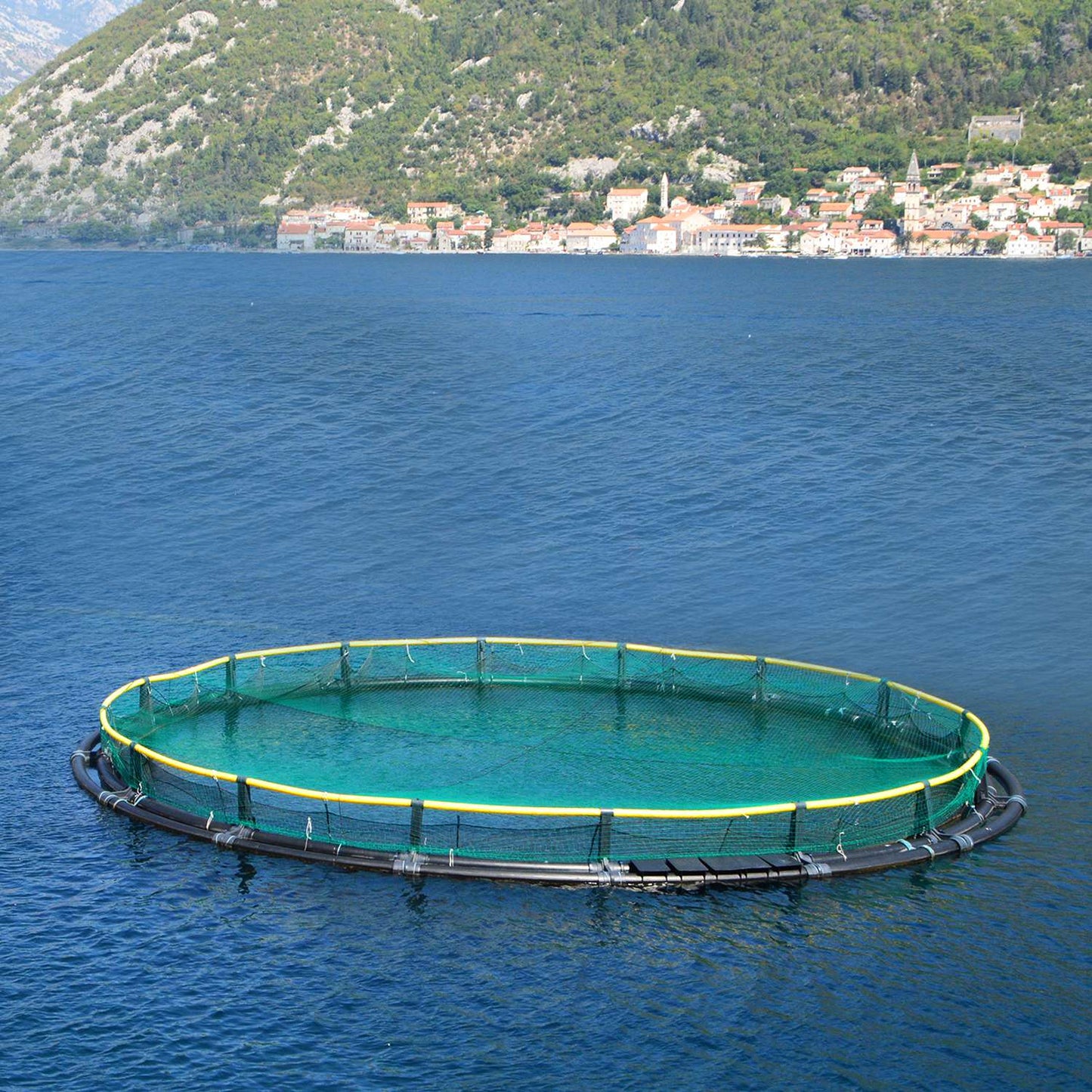 Vegetables Protection Netting