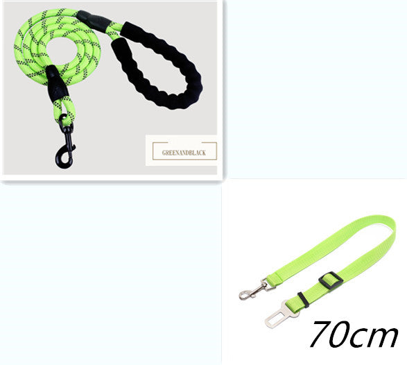 Nylon Dog Leash