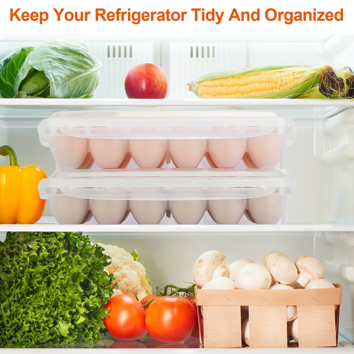 Plastic Egg Holder - 2Pcs