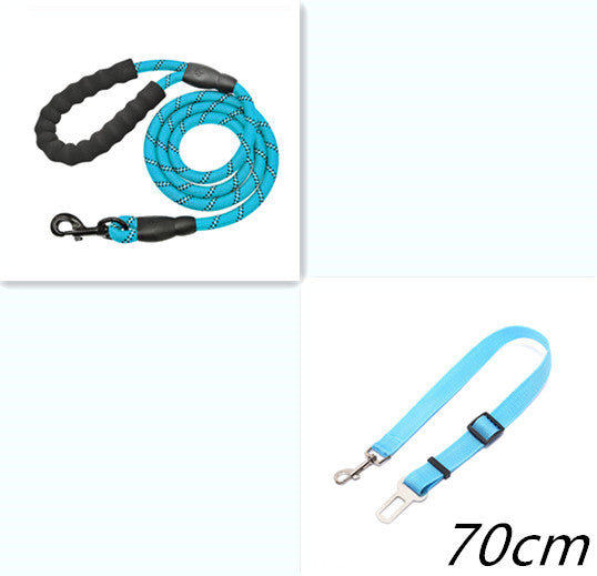 Nylon Dog Leash