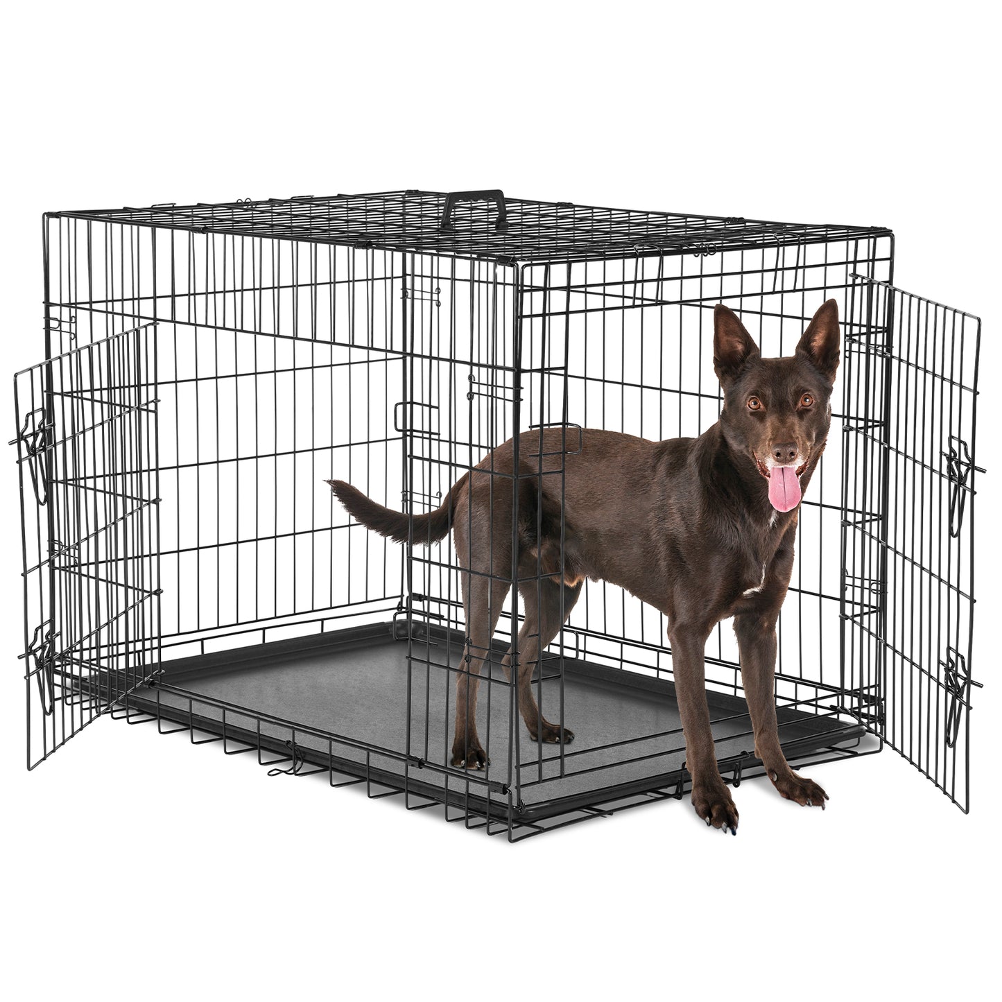 Dog Cage With Two Doors