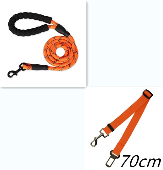 Nylon Dog Leash