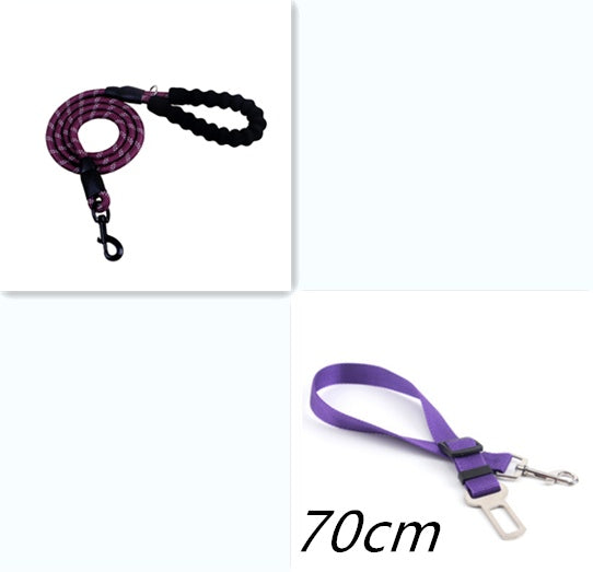Nylon Dog Leash