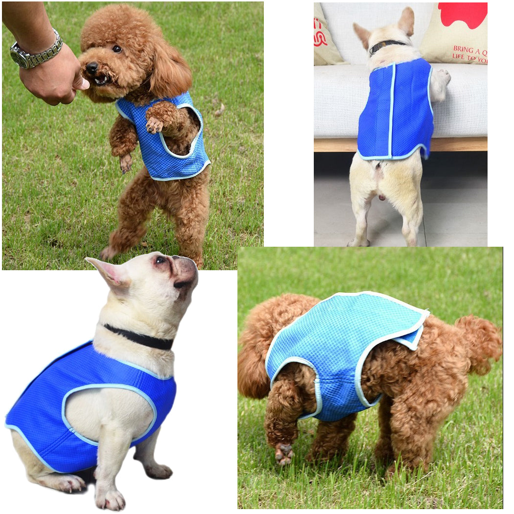 Cooling Vest