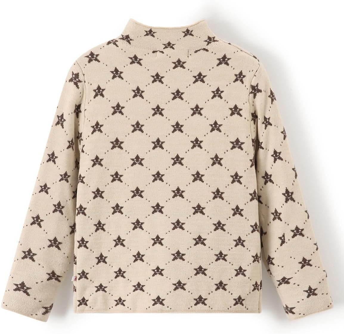 Pattern Half Turtleneck Sweater