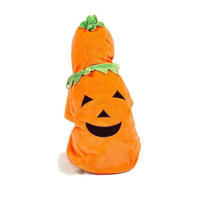 Cute Pumpkin Dog Hoodie