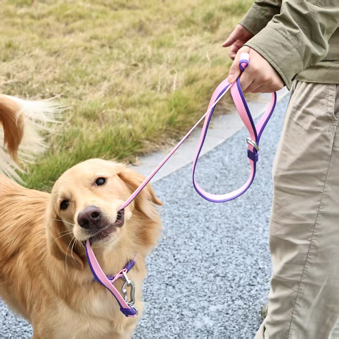 Embossed Pet Leash