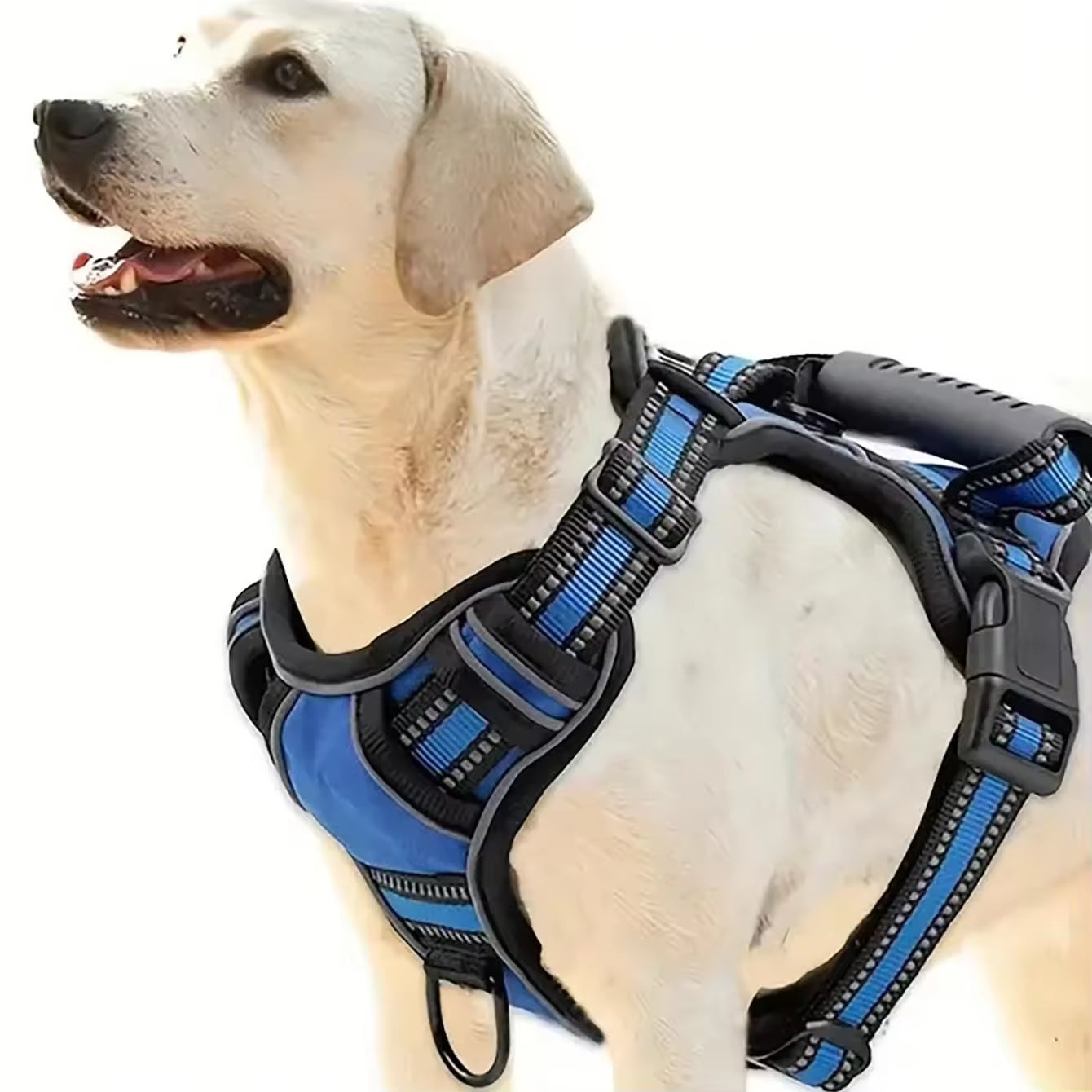 Tactical Service Dog Harness Strap Set with Collapsible Bowl