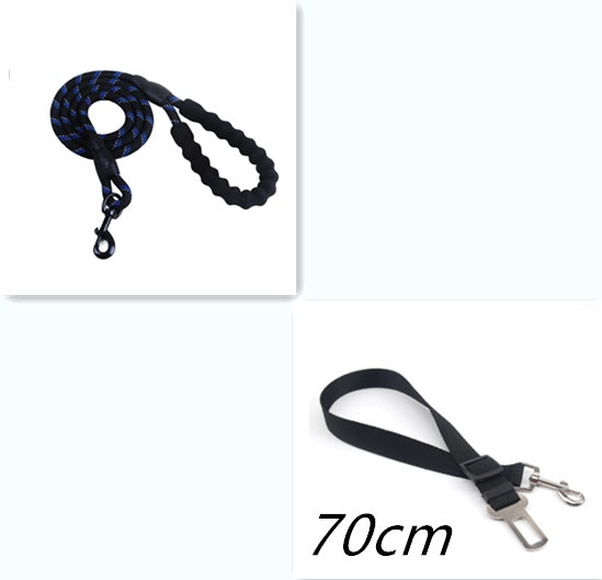 Nylon Dog Leash