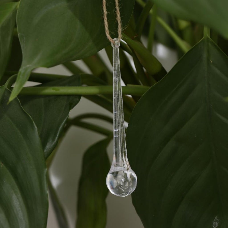 10 Crystal Chandelier Teardrops