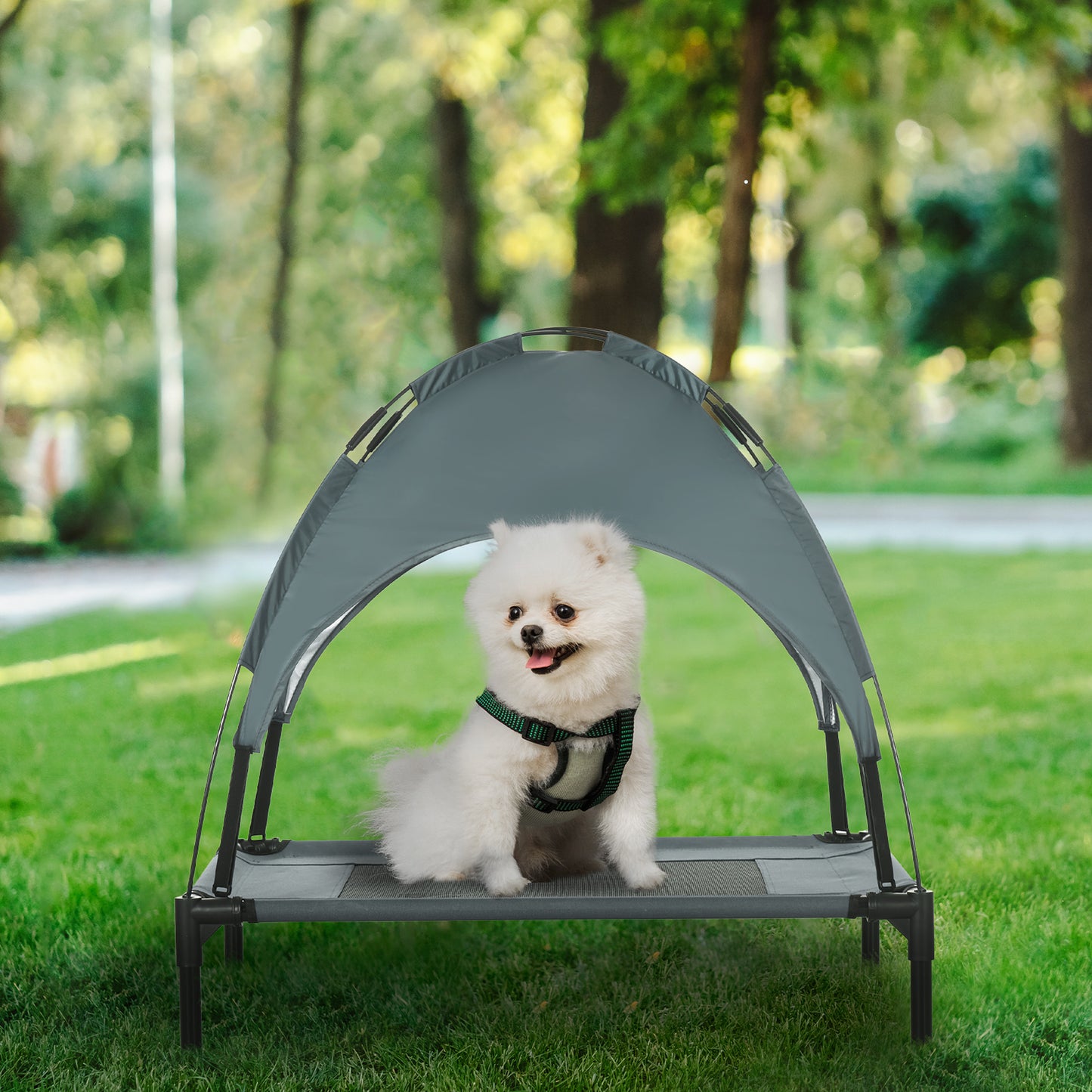 Elevated Dog Bed with Removable Canopy