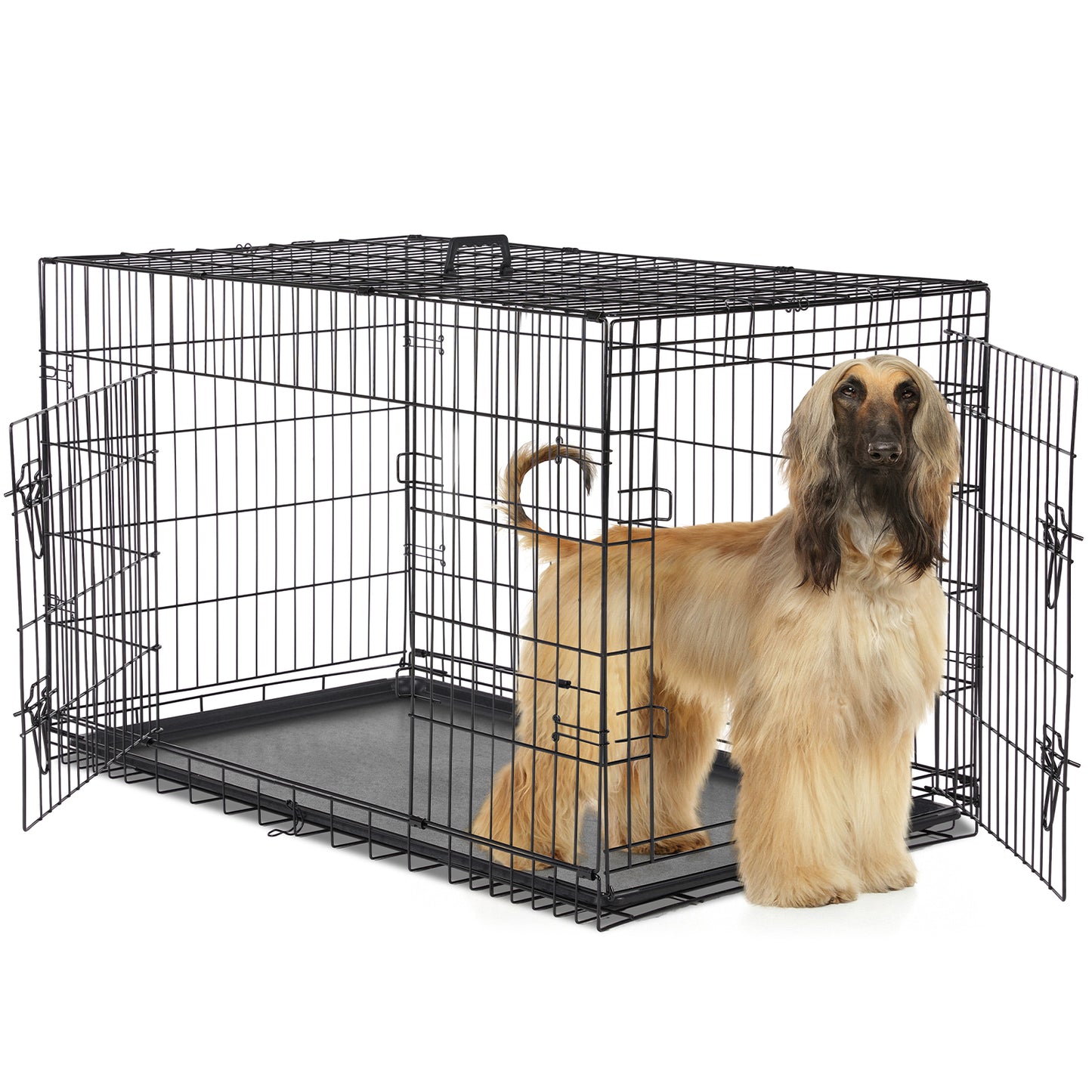 Dog Cage With Two Doors