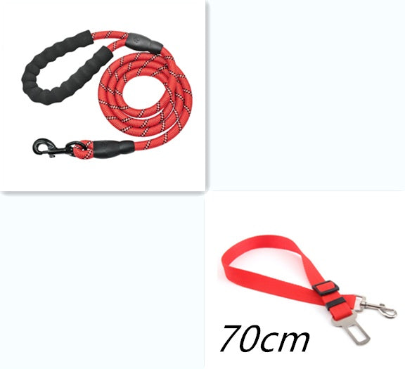 Nylon Dog Leash