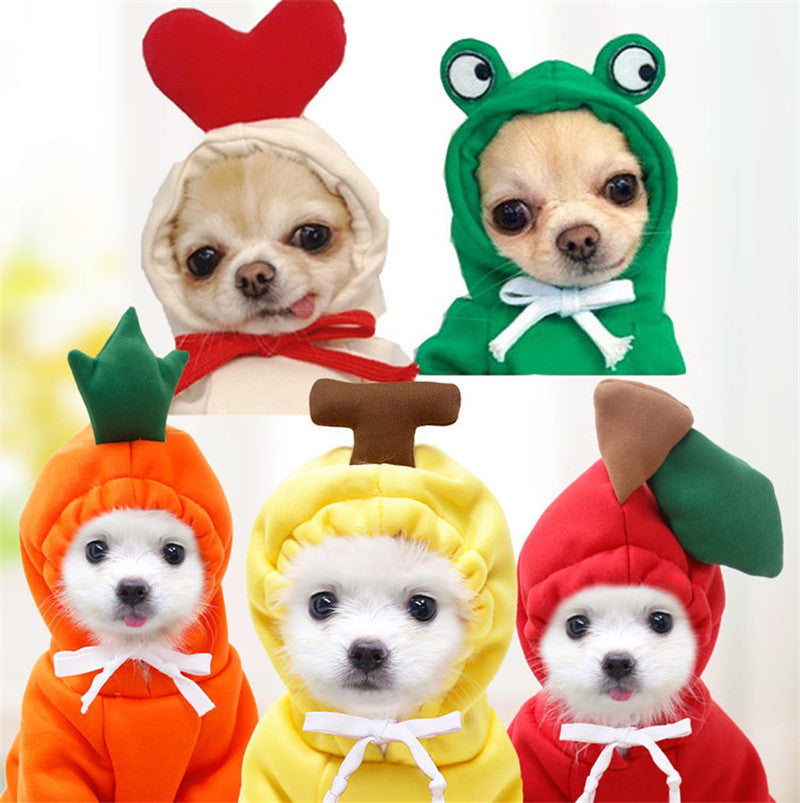 Warm Fleece Chihuahua Outfit