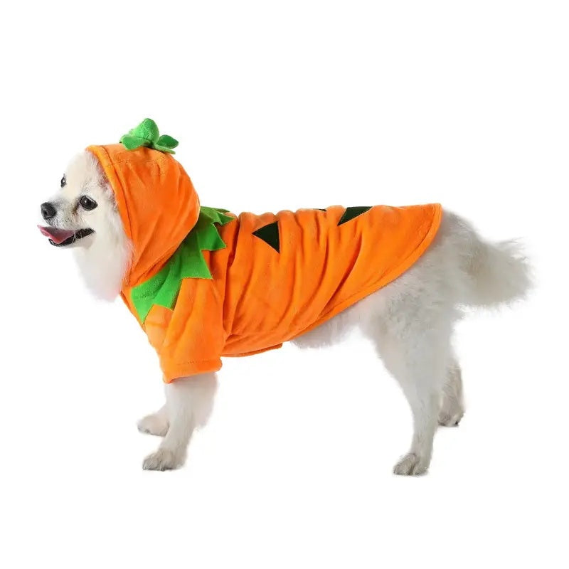 Cute Pumpkin Dog Hoodie