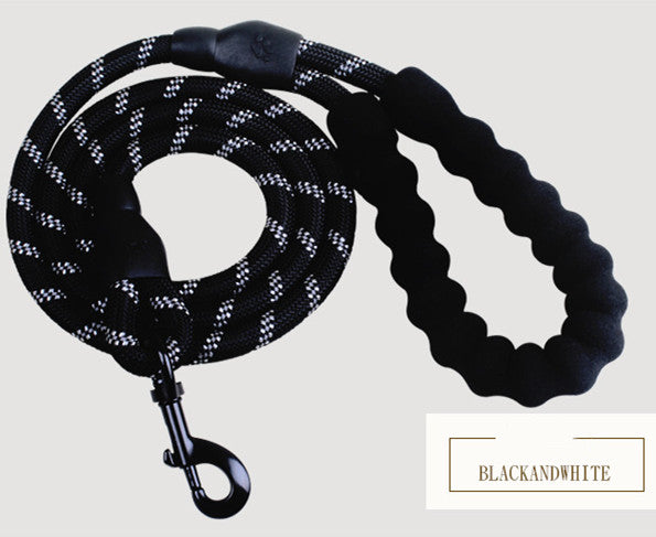 Nylon Dog Leash