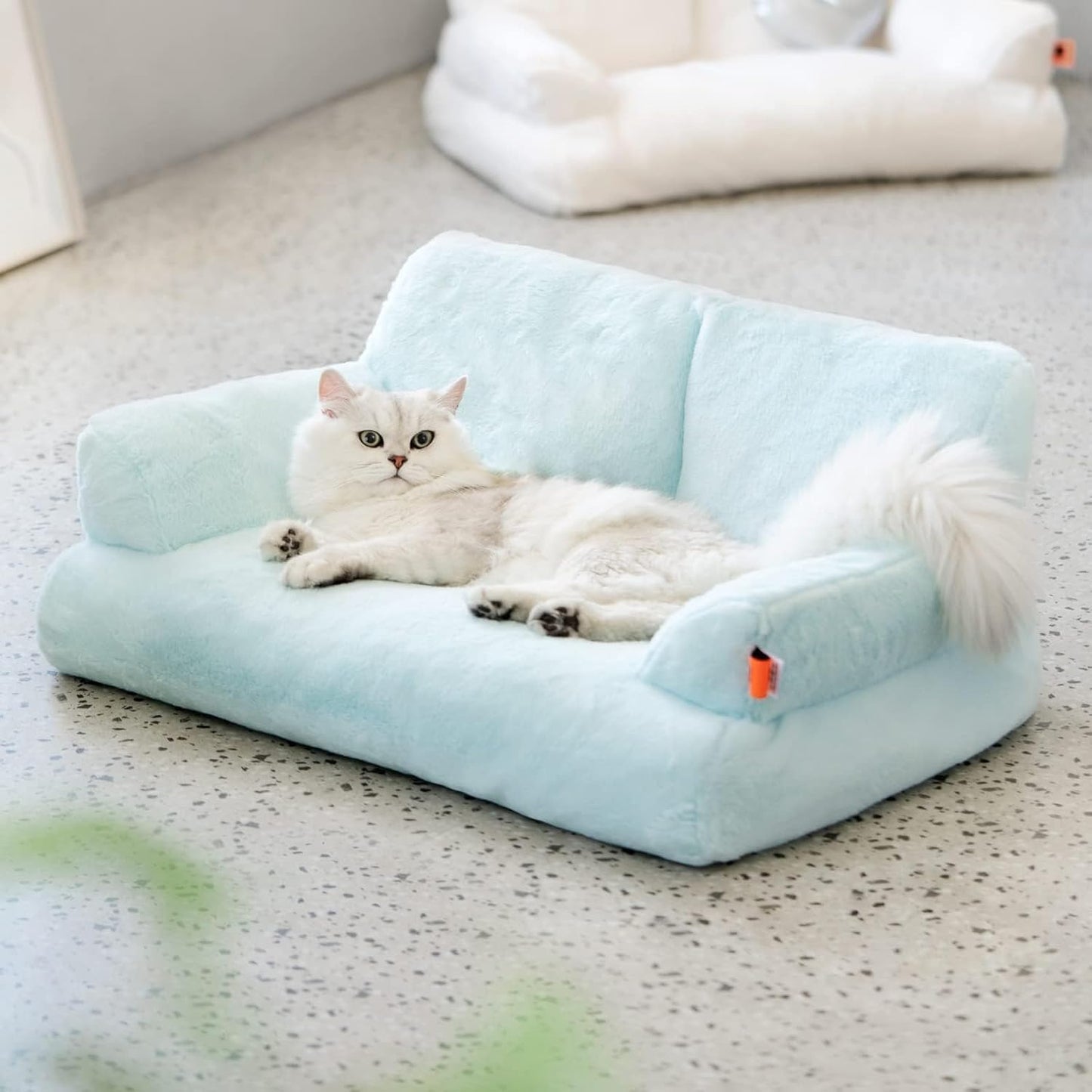 Pet Couch