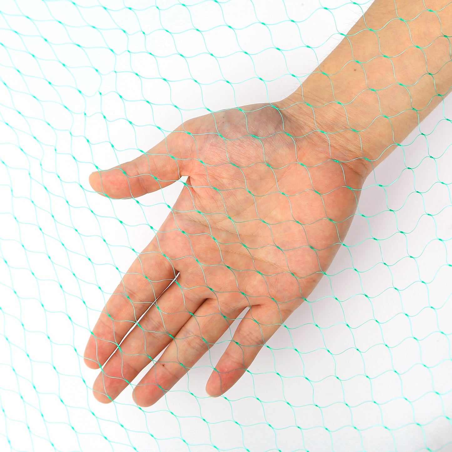 Vegetables Protection Netting