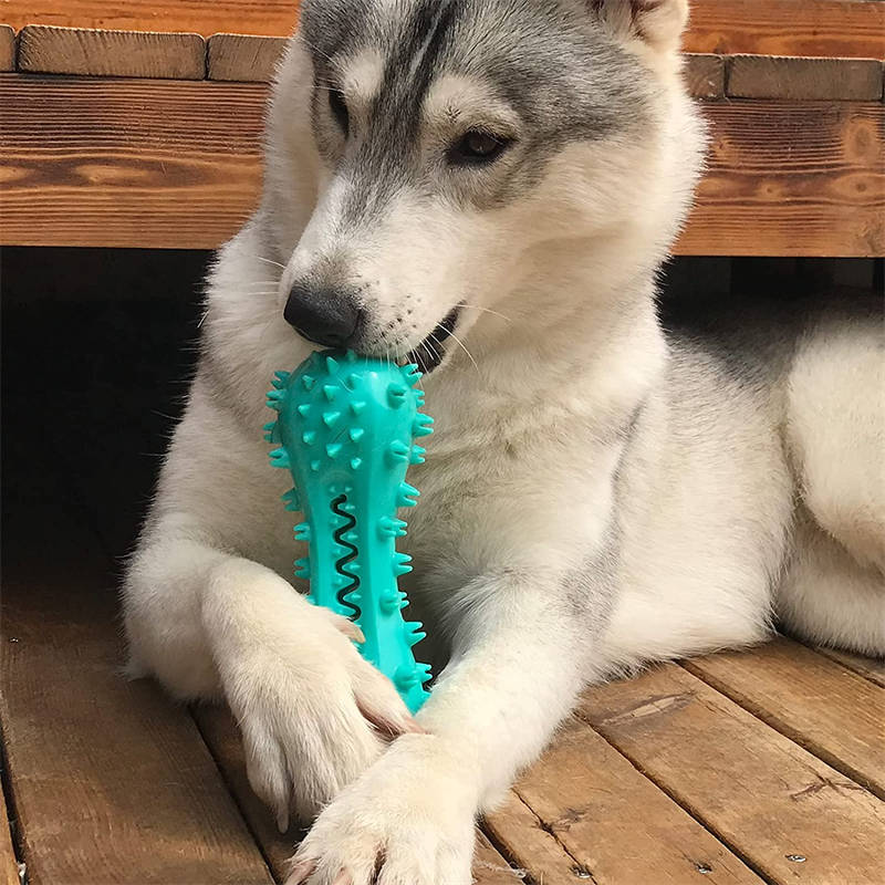Dog Cleaning Chew Toy