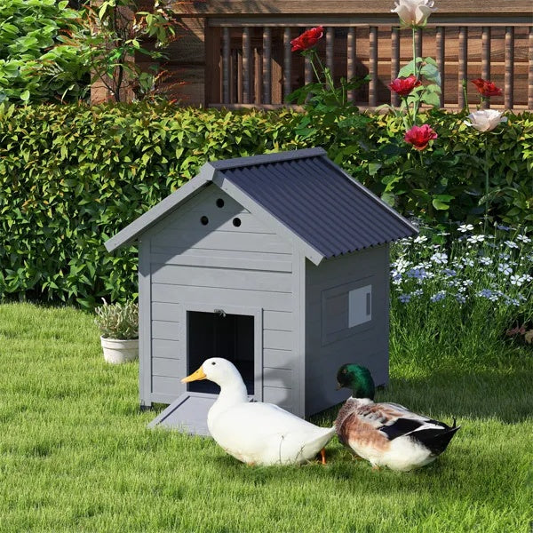 Duck House