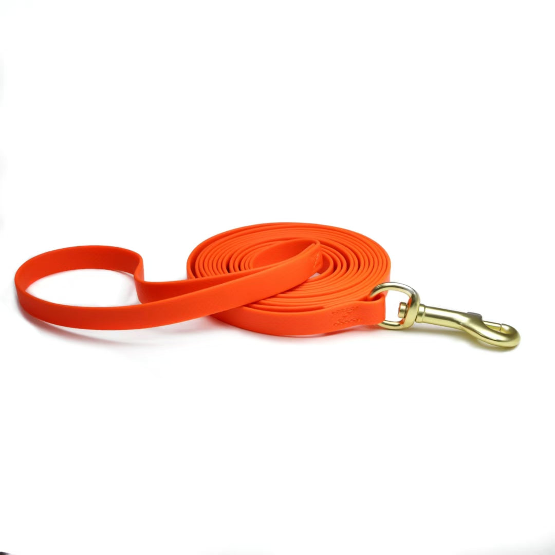 Training Long Rope -  For Recall, Memory & Tracking Training