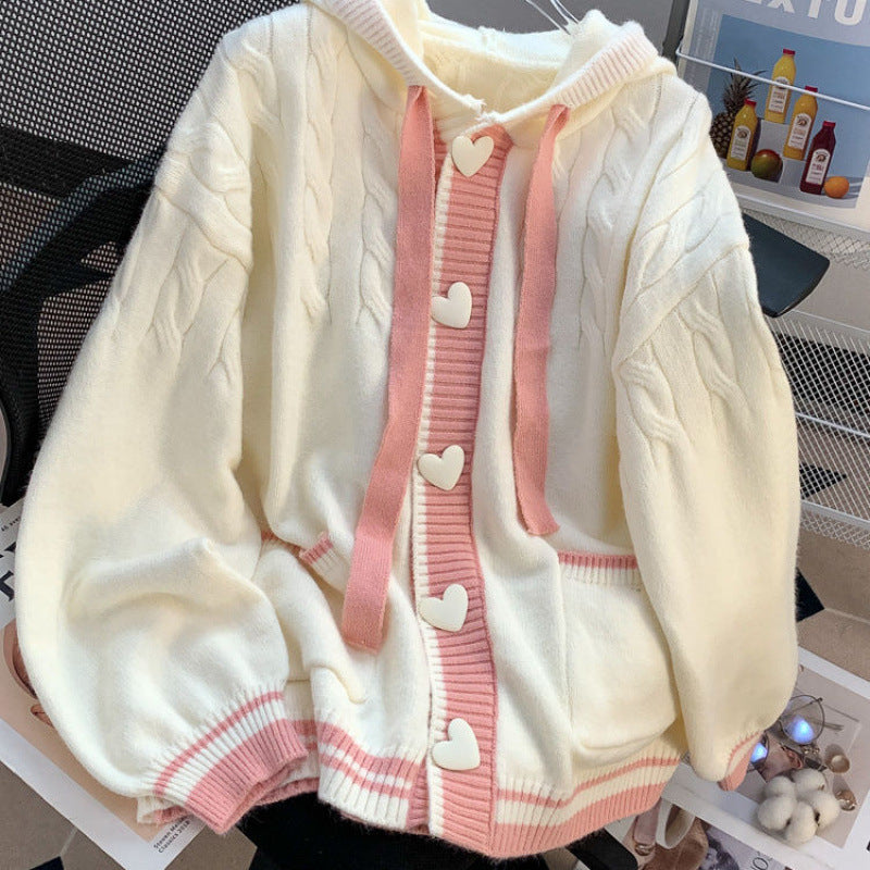 Beauty Spring And Autumn Hooded Sweater