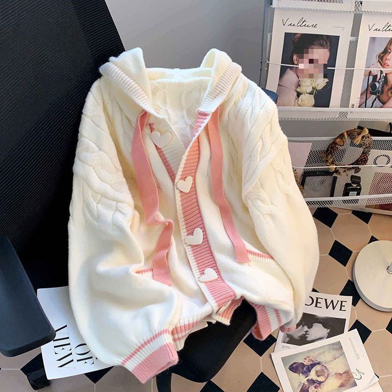 Beauty Spring And Autumn Hooded Sweater