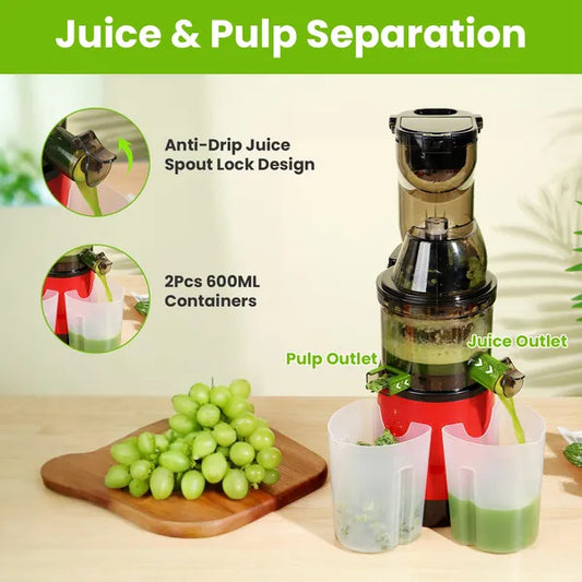 Cold Press Juicer